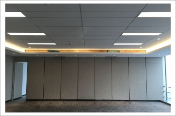 施寧藻鈣天花系列